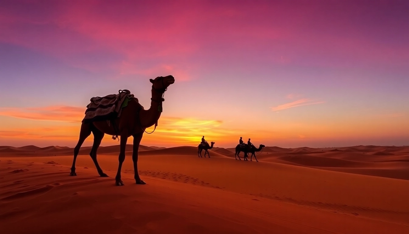 Experience an unforgettable Fes to Marrakech desert tour with camel rides and stunning sunset vistas across the Sahara dunes.